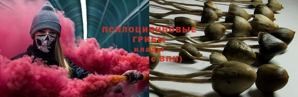 прущая мука Белоозёрский