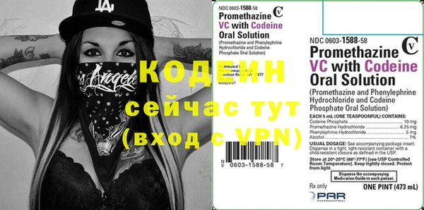 дмт Кодинск