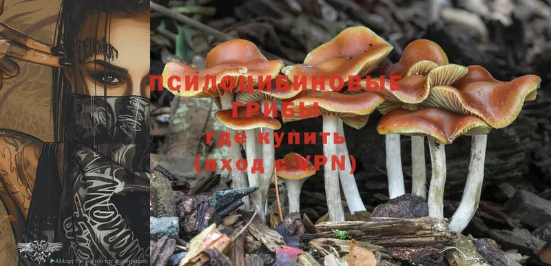 мега маркетплейс  Дагестанские Огни  Псилоцибиновые грибы Psilocybine cubensis  купить наркоту 