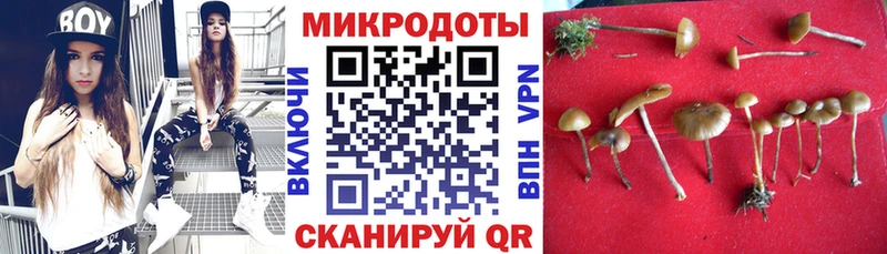 Галлюциногенные грибы прущие грибы Дагестанские Огни