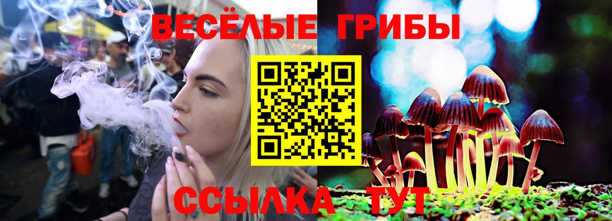 Псилоцибиновые грибы Psilocybe Дагестанские Огни