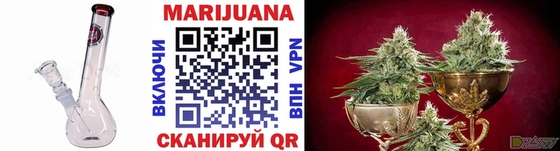 закладки  Дагестанские Огни  Каннабис гибрид 